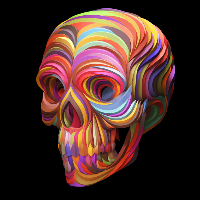 Skull, Illustration