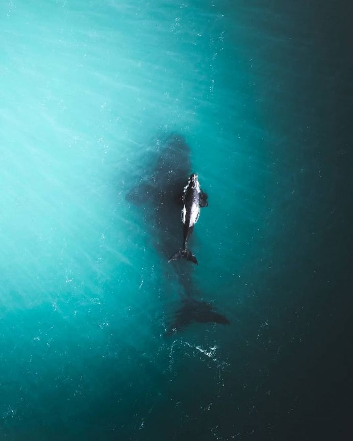 Australia From Above: Drone Photography by Joshua Foo