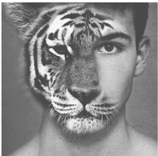 Animal Instincts
