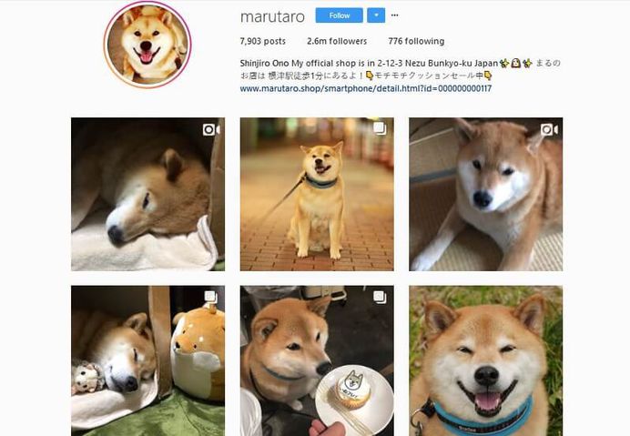 Marutaro - Shinjiro Ono