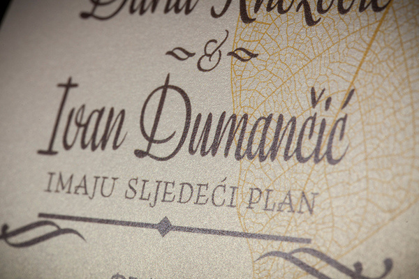 Daria & Ivan Wedding identity and invitations #leo #branding #ivan&daria #design #graphic #vinkovic #identity #wedding