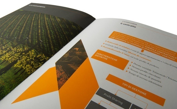 Artwork by www.o-zone.it #profile #business #energy #orange #annual #company #two #colors #report