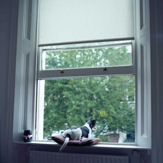Photography by Elena Alhimovich #inspiration #photography #art