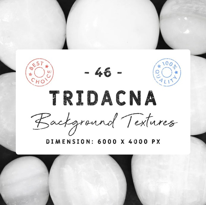 46 Tridacna Background Textures #tridasna #textures #backgrounds