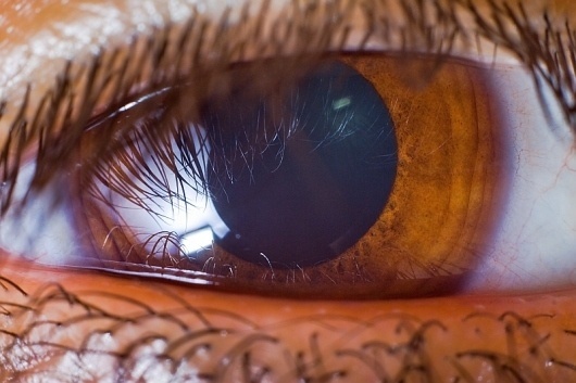 All sizes | just an eye | Flickr - Photo Sharing! #eye #lashes #pupil #macro