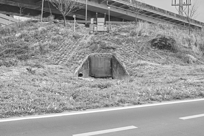 Legs of the City, the City of Legs. 2015. Seoul, Korea. ©kyū saŋ lee