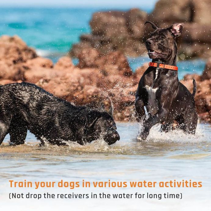 Ispecle waterproof rechargeable 2600ft remote dog shock receiver