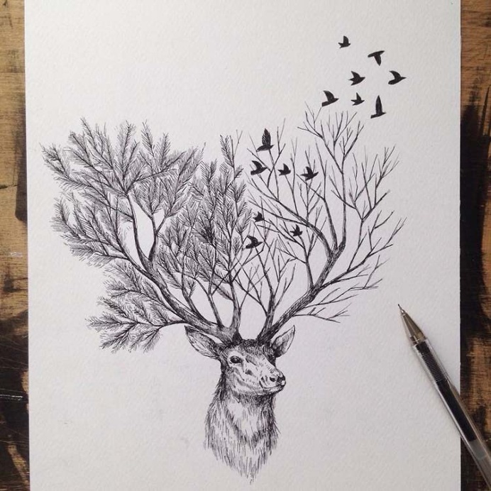 Black Pen Illustrations