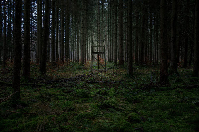 #photography