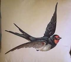 swallow