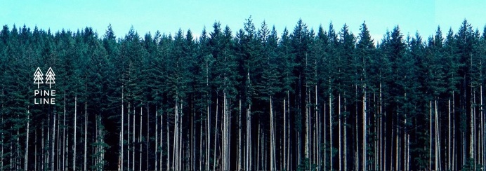 logo tree pine wood grass green forest
