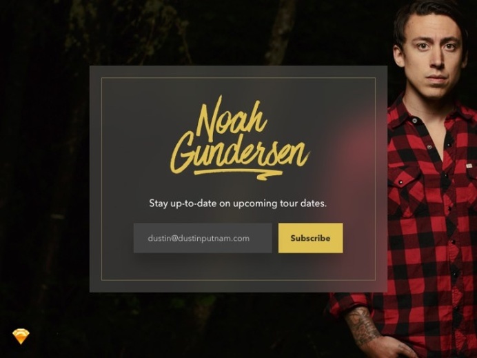 Newsletter Subscription Widget UI
