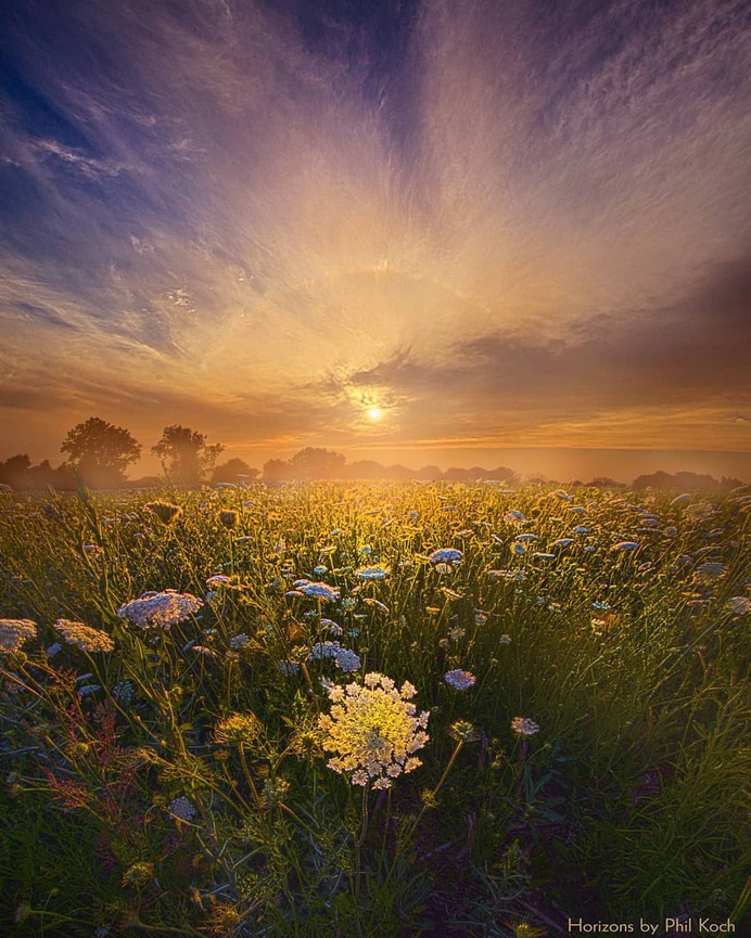 Amazing Wheather and Landscape Photography by Phil Koch