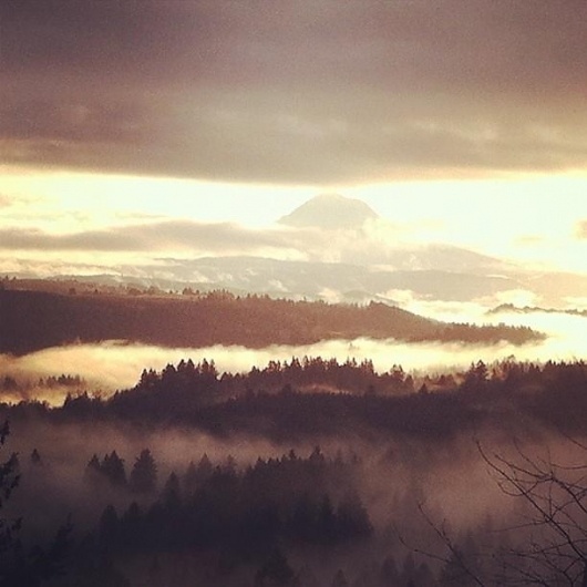 432181_10150607523969872_507164871_8671128_1223549977_n.jpg (612×612) #clouds #mountain #fog #instagram #photograph #sunrise #hood #valley #trees