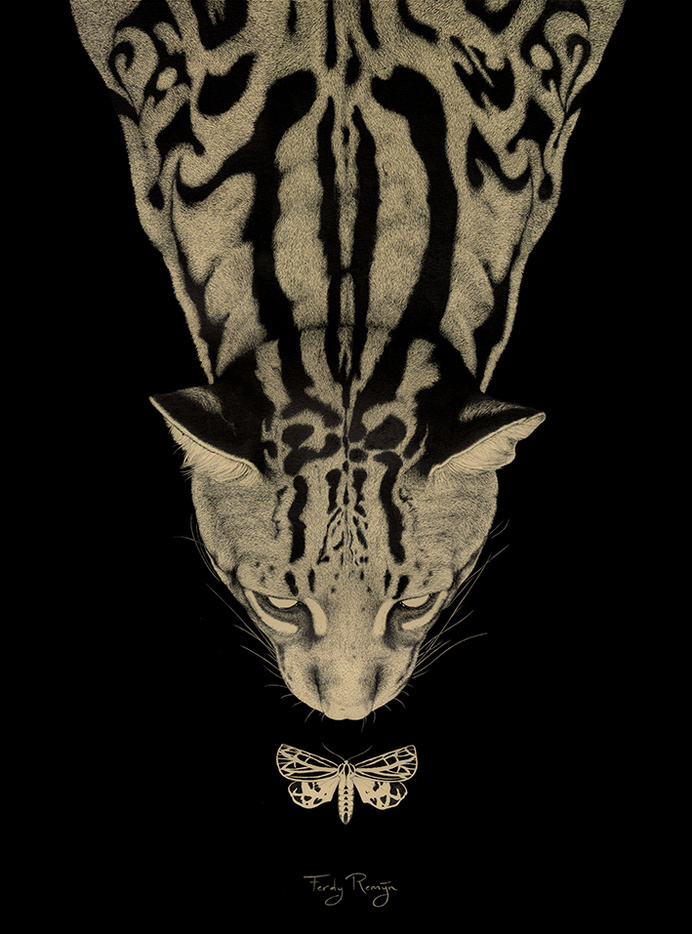 www.ferdyremijn.com #darkness #feline #moth #big #cat #illustration #beauty