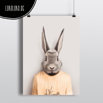 #animals #clothe #fashion #hipster #rabbit #poster