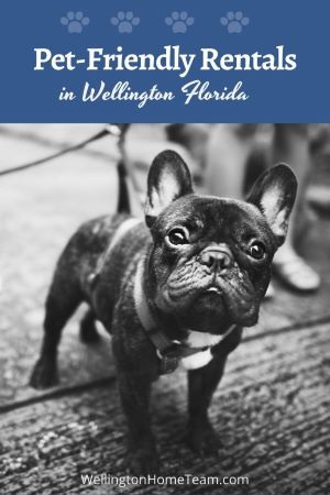 Pet-Friendly Rentals in Wellington Florida | View Pet-Friendly Rentals Here