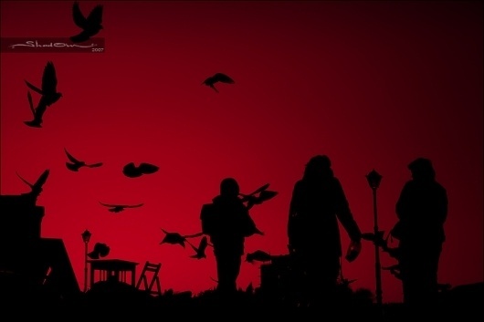 SHD, c'mon | www.theshd.com #red #photo #city #motion #black #birds #silhouette #art #moment #beauty