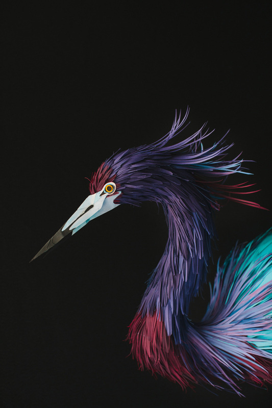 Imagen #paper #bird