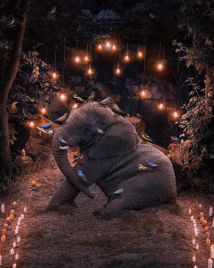 Surreal and Dreamlike Photo Manipulations by Andreas Häggkvist
