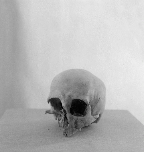crane01.gif (Imagem GIF, 1020x1074 pixéis) #lauris #white #paulus #black #and #skull