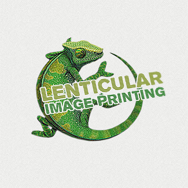 Custom Logo Design Service