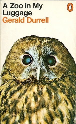 butdoesitfloat.com - Images #zoo #owl