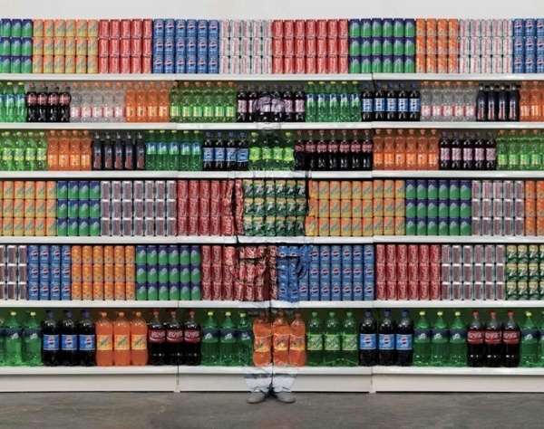 Liu Bolin #inspiration #creative #photography