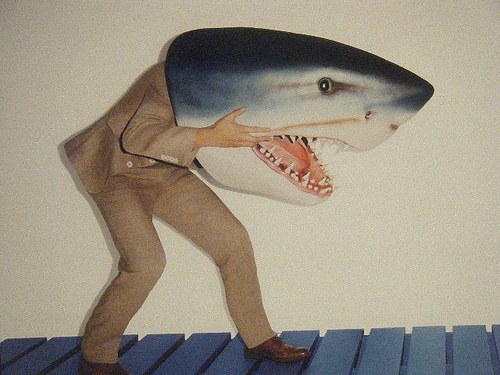 qualitypeoples.com #photo #shark