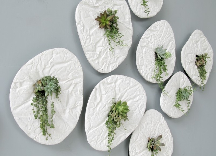 Seed by Taeg Nishimoto