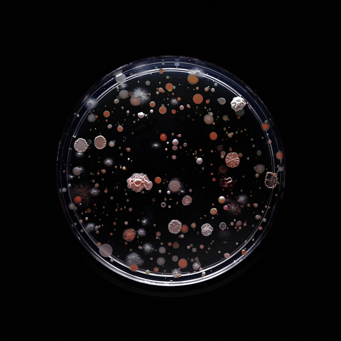 Dirty words on the NYC subway / Craig Ward #photography #bacteria #typography