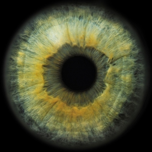 Portfolio | Special Projects « RANKIN