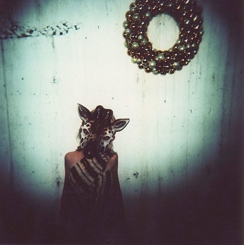 FFFFOUND! | camelopardalis (giraffe) #photography