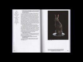 constants and variables