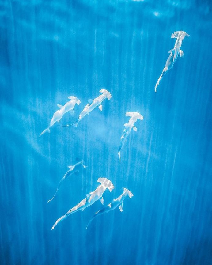 Western Australia From Above: Drone Photography by Mitchell Clarke