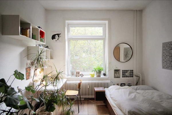 B L O O D A N D C H A M P A G N E . C O M: » 260 #interior #plants #room