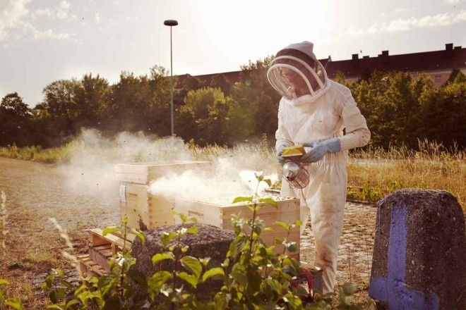 Urban Beekeepers by Stefan Hobmaier #inspiration #photography #art