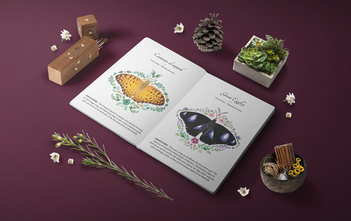 Jim's Jungle Retreat - Butterfly Brochure on Behance