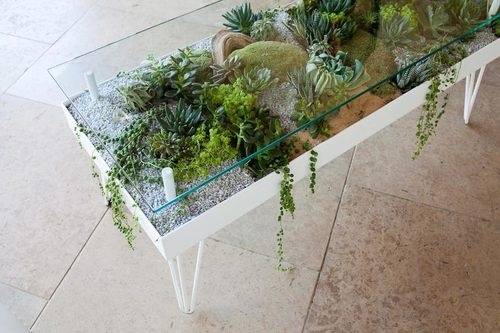 #plants #livingfurniture #furniture