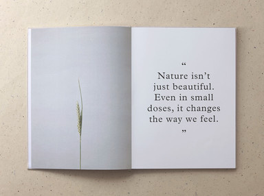 Mother Design #print #design #editorial #layout
