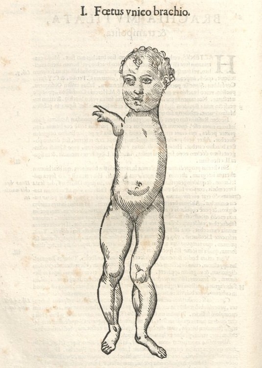 000494 #naturalism #aldrovandi #illustration #latin #ulisse #monster #drawing