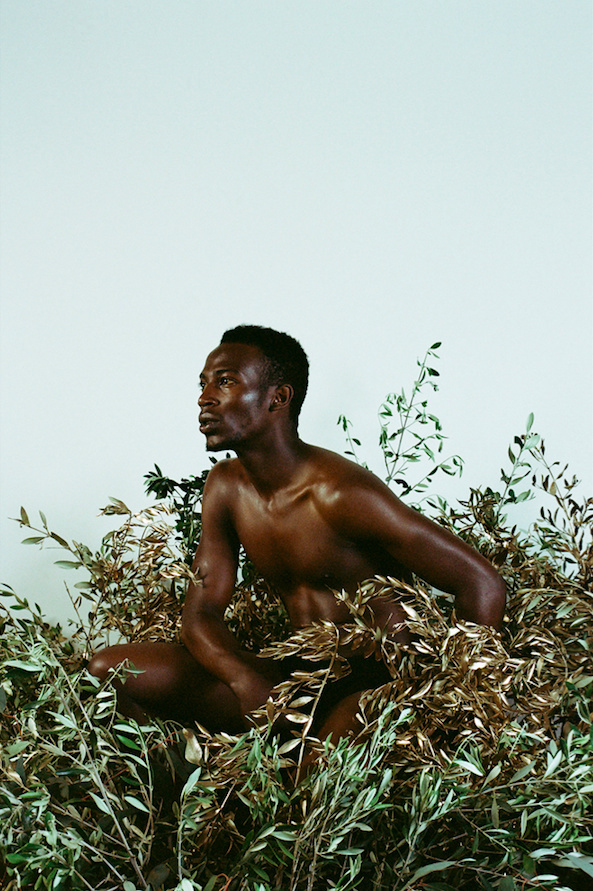 Parker Fitzgerald | PICDIT