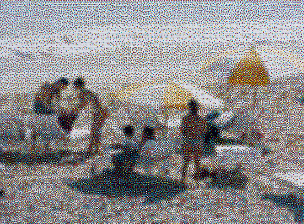 William Betts | PICDIT