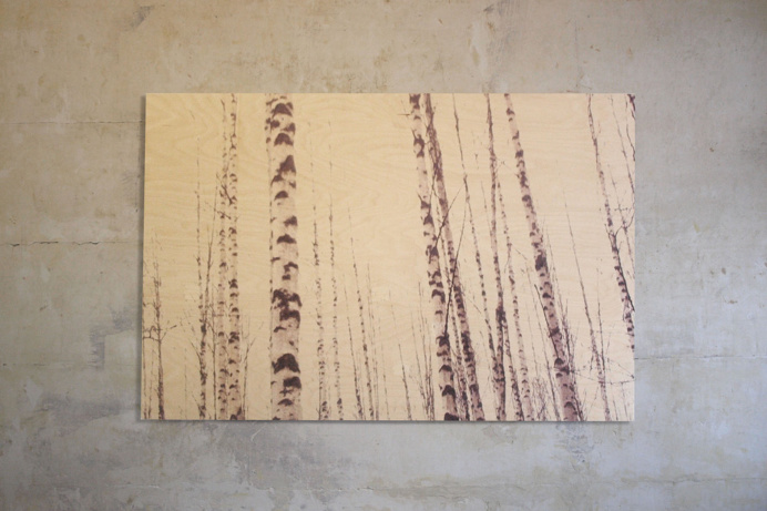 birches, print on wood, birch plywood, art