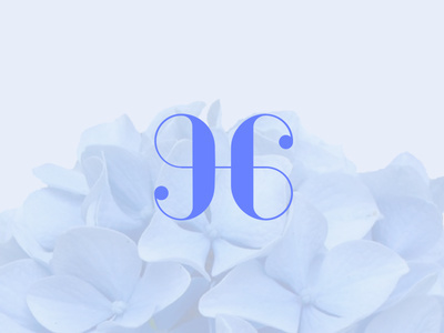 Hydrangea