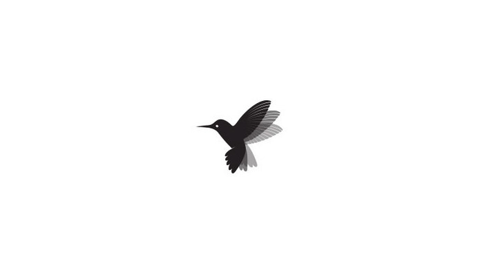 Humming Bird