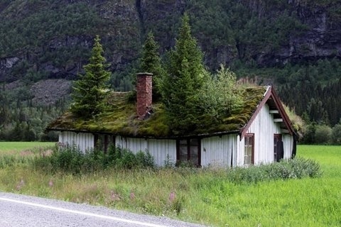 FFFFOUND! #green