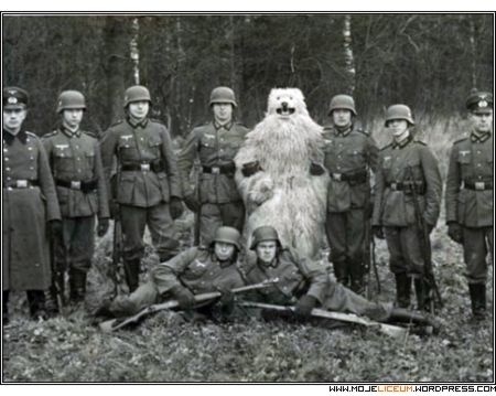 Wyniki Szukania w Grafice Google dla http://mojeliceum.files.wordpress.com/2008/07/wehrmacht-bialy-mis.jpg%3Fw%3D490 #foto
