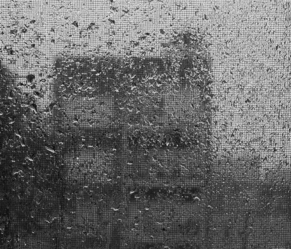 1 + New York #window #rain #building #mesh