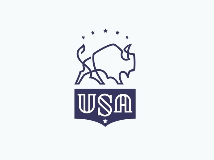 Bison USA by Mike Bruner #usa #logo #design